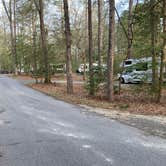 Review photo of Shad Landing Campground by Laure D., April 11, 2021