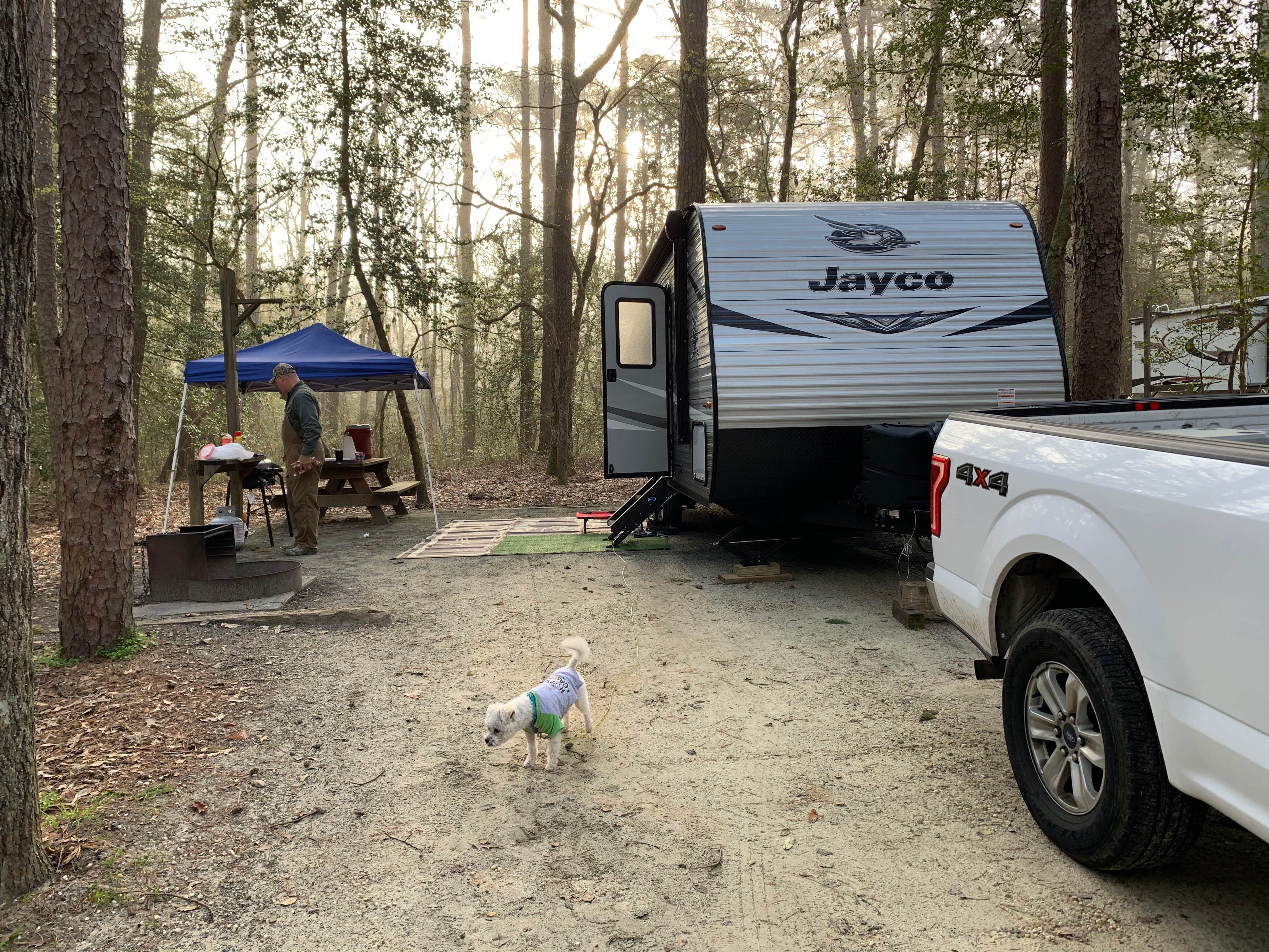 Laure D.'s photo of camping with pets at Shad Landing Campground near Pocomoke City, MD