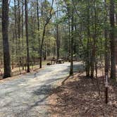 Review photo of Shad Landing Campground by Laure D., April 11, 2021