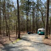 Review photo of Shad Landing Campground by Laure D., April 11, 2021