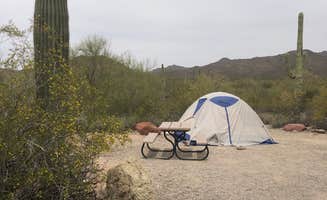 Candy P.'s photo at Gilbert Ray Campground near Topawa, AZ