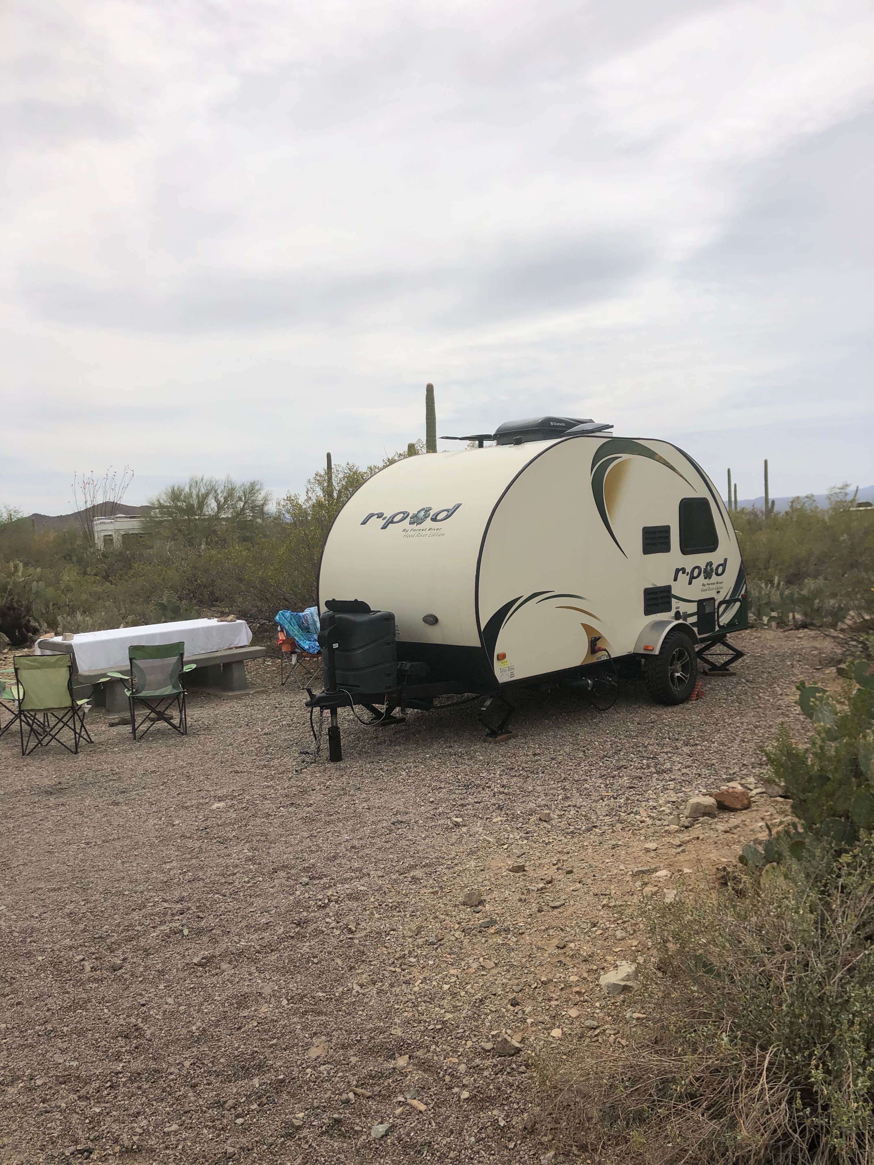 Candy P.'s photo at Gilbert Ray Campground near Cortaro, AZ