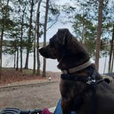 Review photo of Lake Wateree State Park Campground by Sally C., April 11, 2021