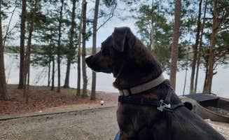 Sally C.'s photo of camping with pets at Lake Wateree State Park Campground near Elgin, SC