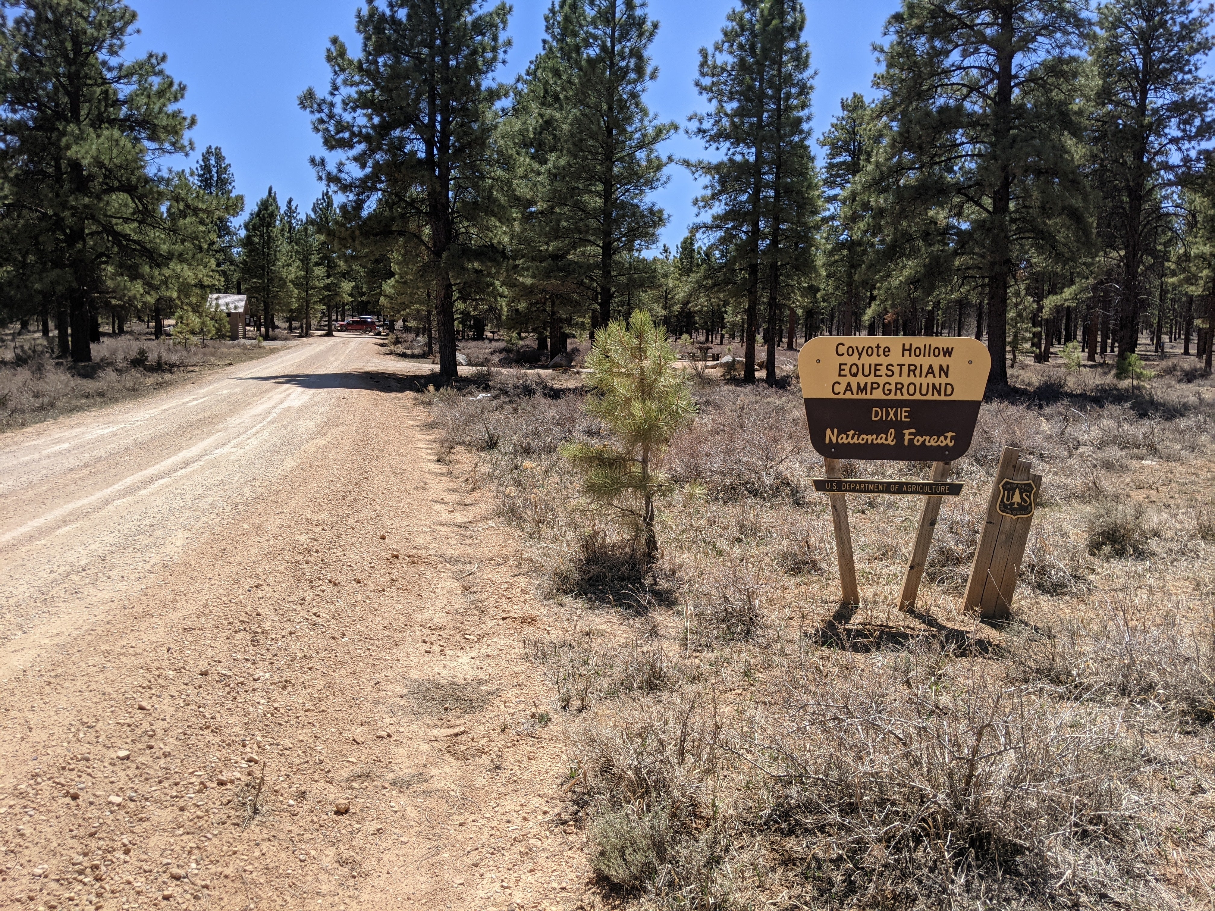 Camper submitted image from Coyote Hollow Equestrian Campground - 1