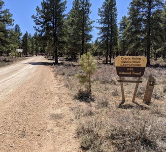 Camper-submitted photo from Coyote Hollow Equestrian Campground
