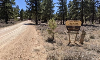 Coyote Hollow Equestrian Campground