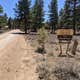 Coyote Hollow Equestrian Campground
