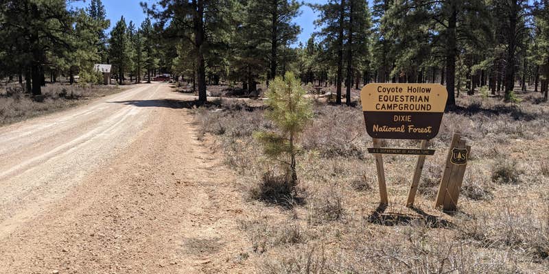 Camper submitted image from Coyote Hollow Equestrian Campground