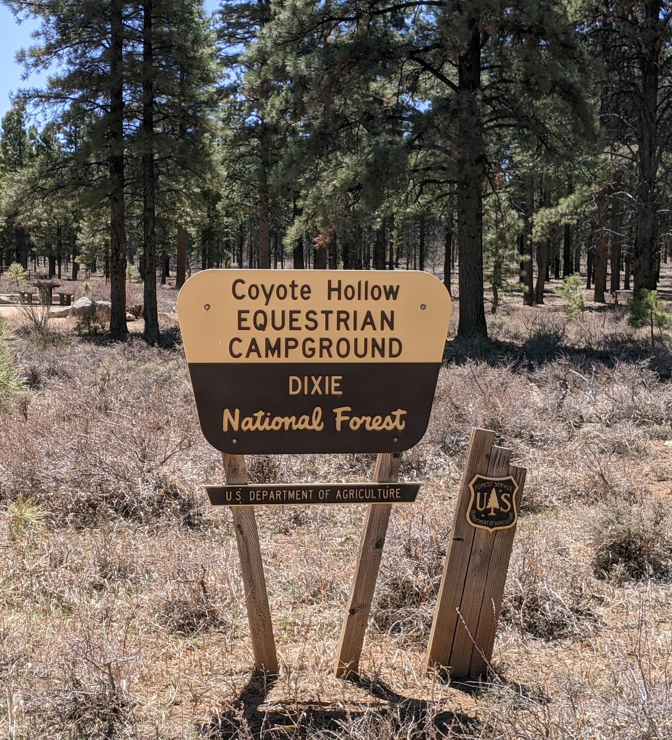 Camper submitted image from Coyote Hollow Equestrian Campground - 4