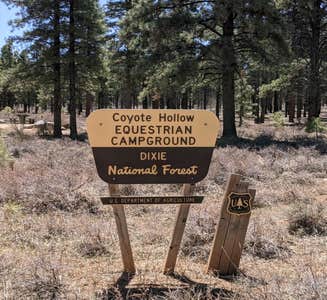 Camper-submitted photo from Coyote Hollow Equestrian Campground