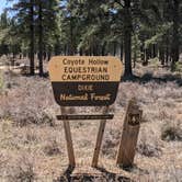 Review photo of Coyote Hollow Equestrian Campground by Greg L., April 11, 2021