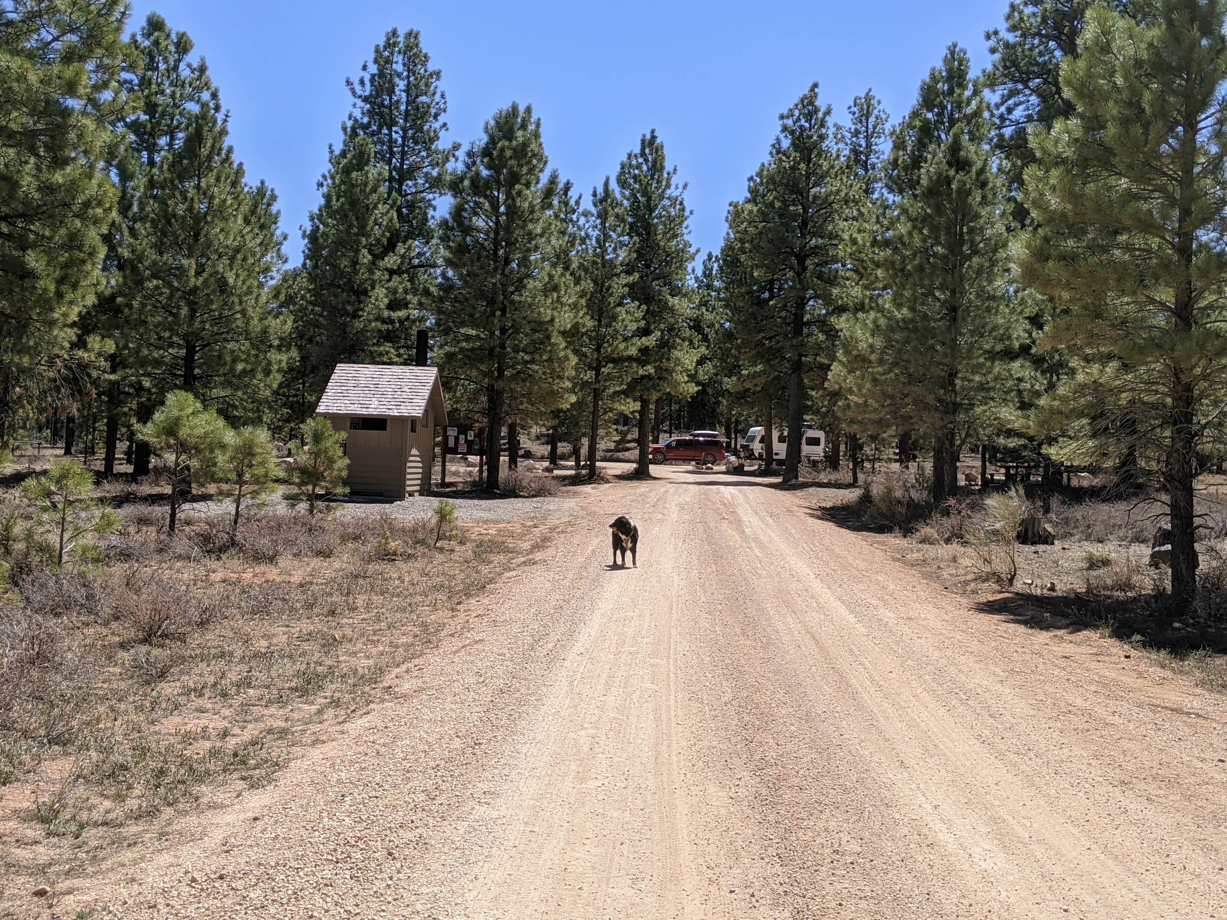 Camper submitted image from Coyote Hollow Equestrian Campground - 5