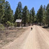 Review photo of Coyote Hollow Equestrian Campground by Greg L., April 11, 2021