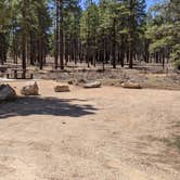 Review photo of Coyote Hollow Equestrian Campground by Greg L., April 11, 2021