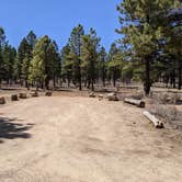 Review photo of Coyote Hollow Equestrian Campground by Greg L., April 11, 2021