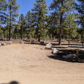 Review photo of Coyote Hollow Equestrian Campground by Greg L., April 11, 2021