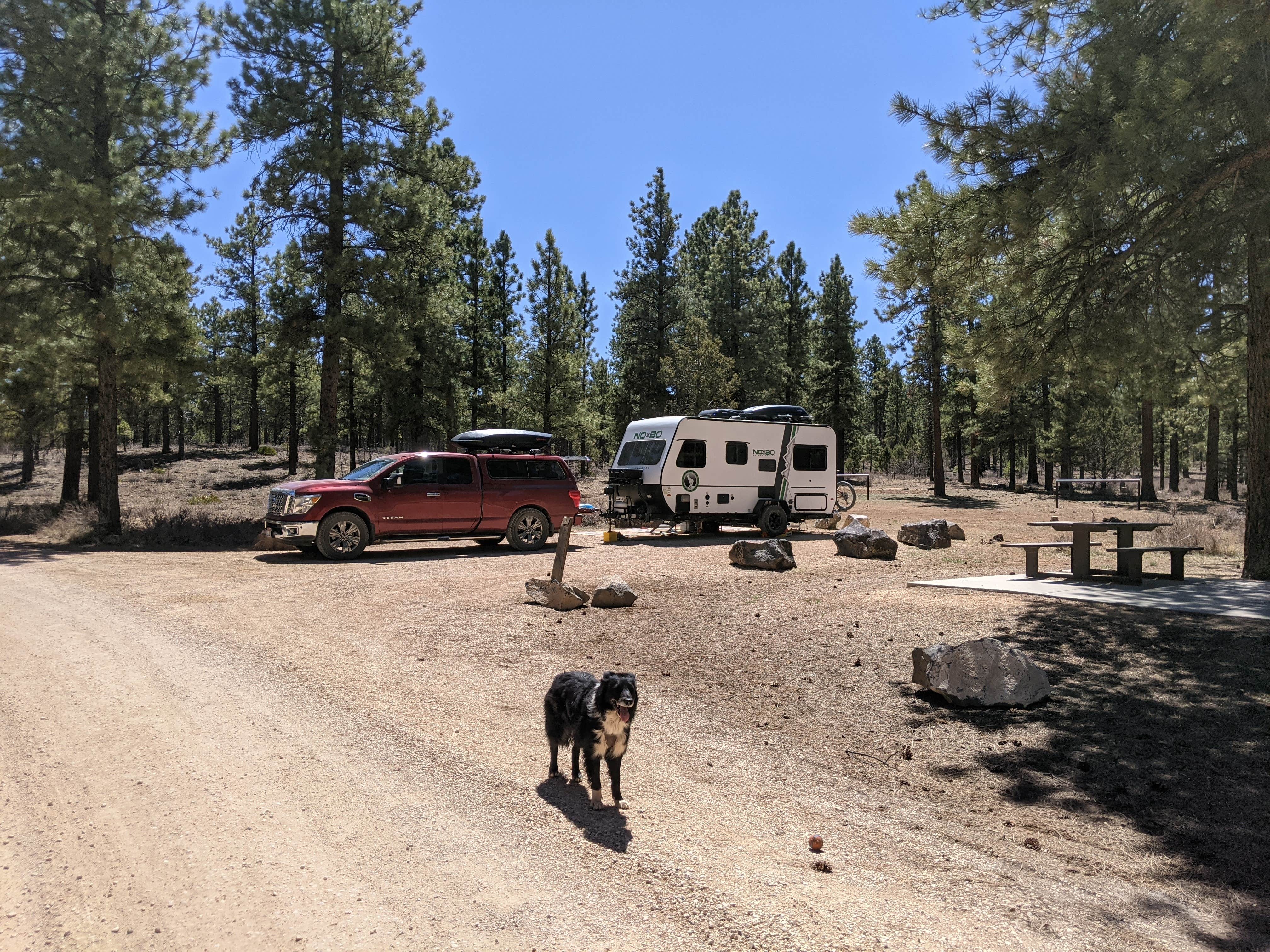 Greg L.'s photo of camping with pets at Coyote Hollow Equestrian Campground near Panguitch, UT
