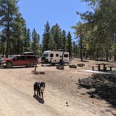 Review photo of Coyote Hollow Equestrian Campground by Greg L., April 11, 2021