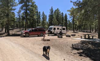Greg L.'s photo of camping with pets at Coyote Hollow Equestrian Campground near Dixie National Forest
