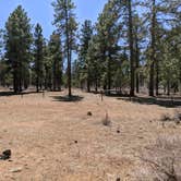 Review photo of Coyote Hollow Equestrian Campground by Greg L., April 11, 2021