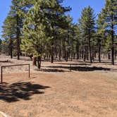 Review photo of Coyote Hollow Equestrian Campground by Greg L., April 11, 2021