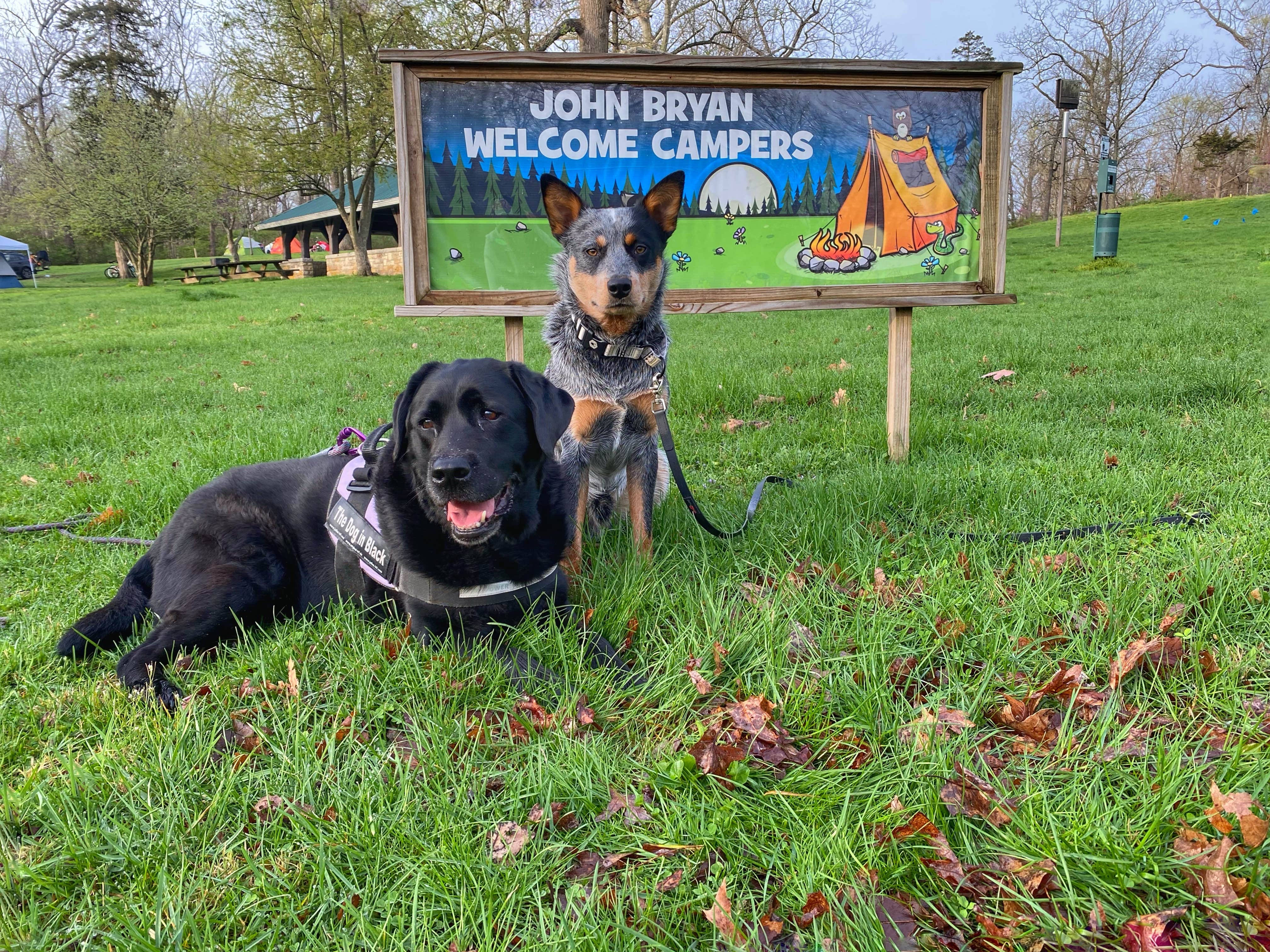 Andrea F.'s photo of camping with pets at John Bryan State Park Campground near Belmont, OH
