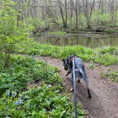 Review photo of John Bryan State Park Campground by Andrea F., April 11, 2021