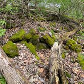 Review photo of John Bryan State Park Campground by Andrea F., April 11, 2021