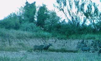 James J.'s photo of camping with pets at Desert Oasis Campground near Tombstone, AZ