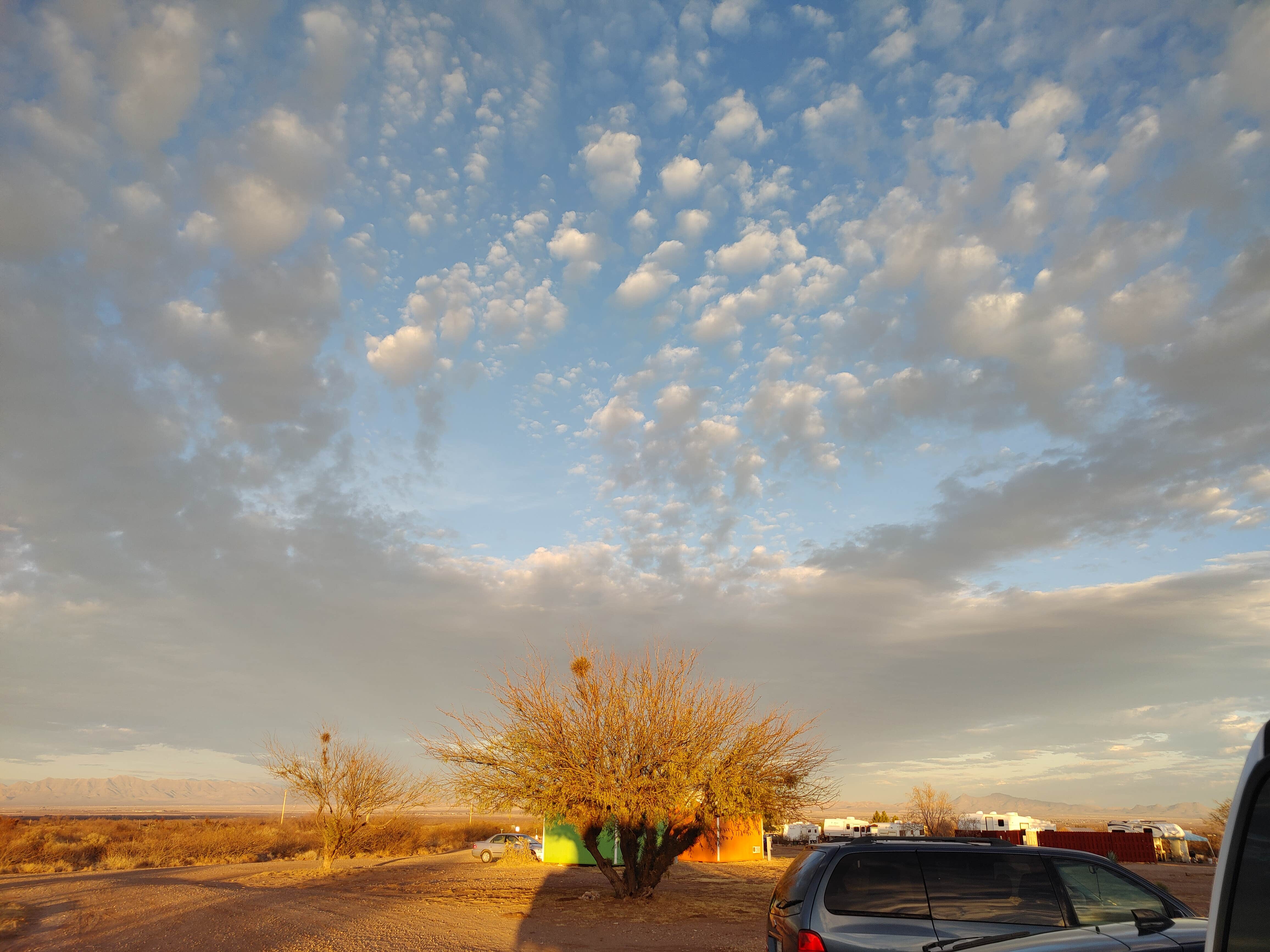 Camper submitted image from Desert Oasis Campground - 2
