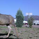 Review photo of Desert Oasis Campground by James J., April 11, 2021