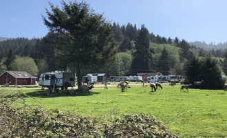 Camping near Elam Backcountry Camp — Redwood National Park: Elk Country RV Resort & Campground, Orick, California