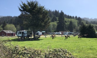 Camping near Elk Prairie Campground — Prairie Creek Redwoods State Park: Elk Country RV Resort & Campground, Orick, California