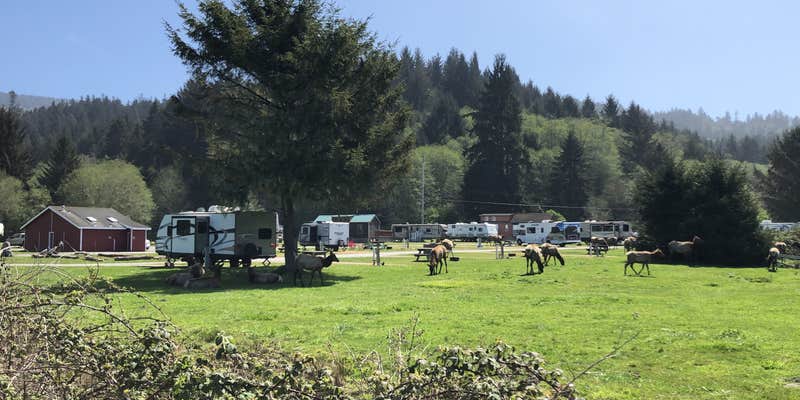 Camper submitted image from Elk Country RV Resort & Campground