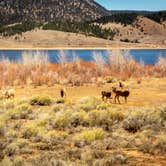 Review photo of Eagle Nest Lake State Park Campground by James F., April 11, 2021