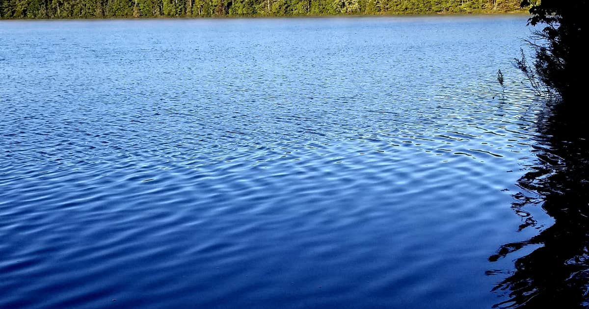 Bodi Lake State Forest Campground