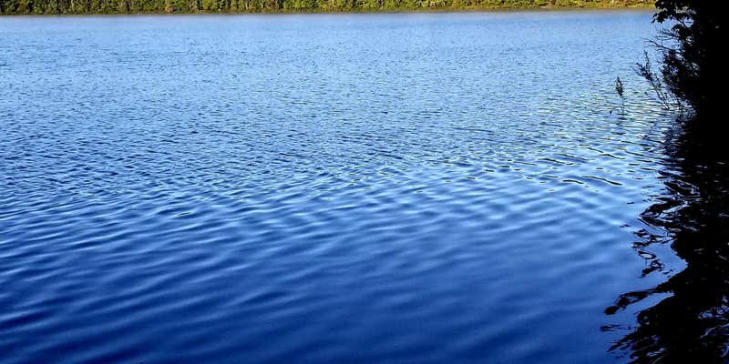 Camper submitted image from Bodi Lake State Forest Campground