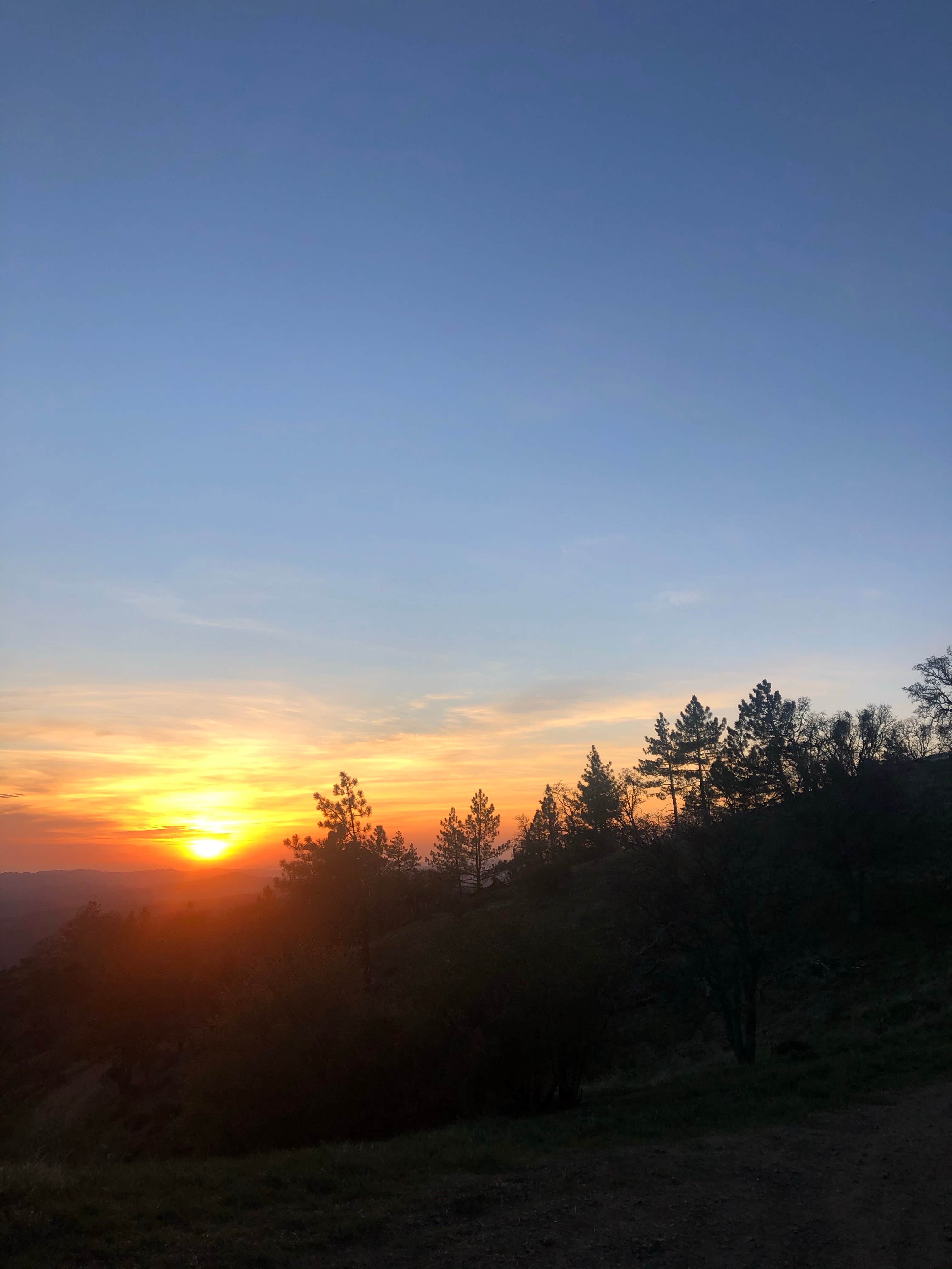 Camping near Camp Carrizo: Miranda Pine Campground, Carrizo Plain National Monument, California