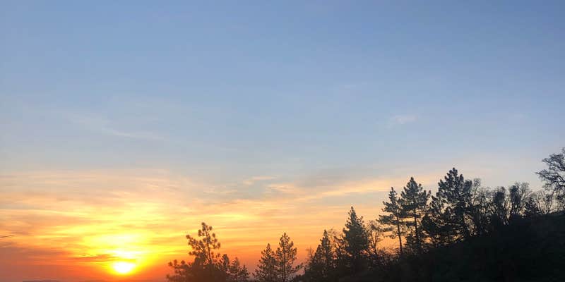 Camper submitted image from Miranda Pine Campground