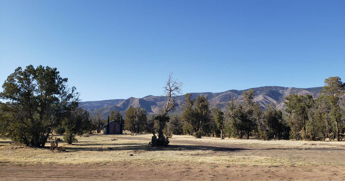 undefined photo 2