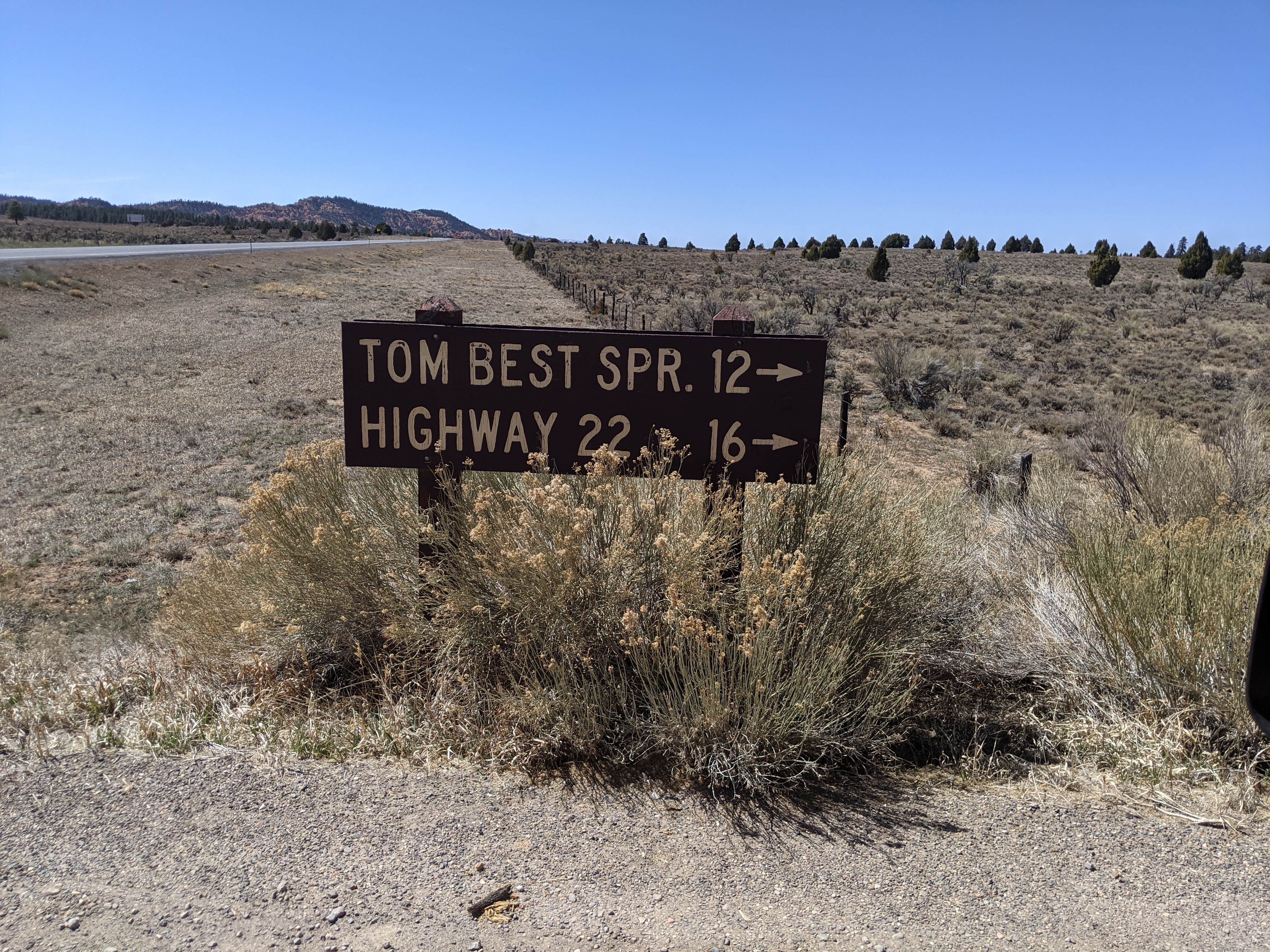 Camper submitted image from Tom Best Spring Road FR117 Dispersed - Dixie National Forest - 4