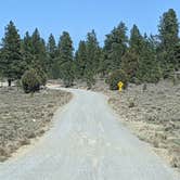 Review photo of Tom Best Spring Road FR117 Dispersed - Dixie National Forest by Greg L., April 11, 2021