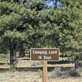 Review photo of Tom Best Spring Road FR117 Dispersed - Dixie National Forest by Greg L., April 11, 2021