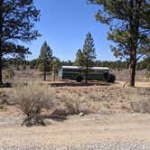 Review photo of Tom Best Spring Road FR117 Dispersed - Dixie National Forest by Greg L., April 11, 2021