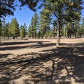 Review photo of Tom Best Spring Road FR117 Dispersed - Dixie National Forest by Greg L., April 11, 2021