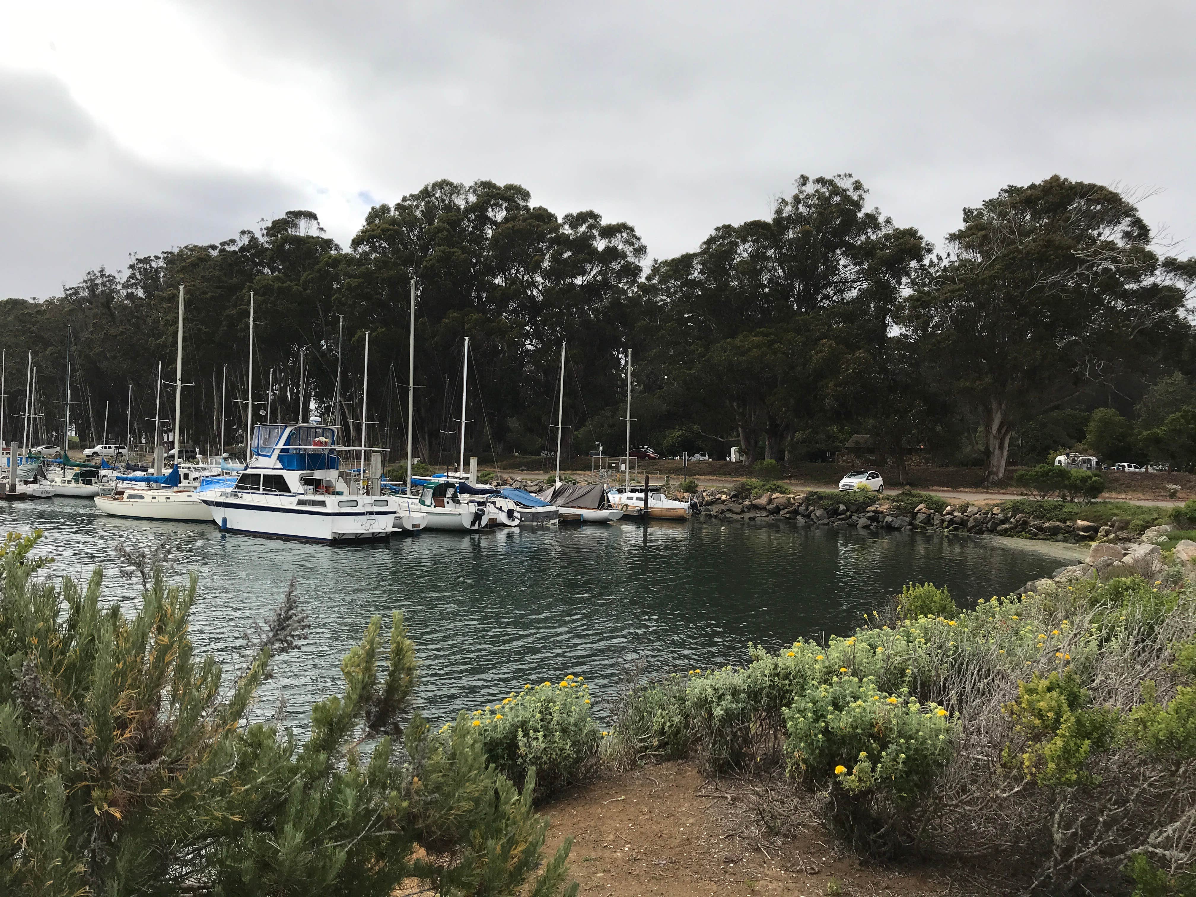Camper-submitted photo at Morro Bay State Park Campground in California