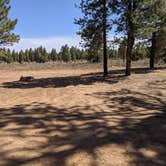 Review photo of Tom Best Spring Road FR117 Dispersed - Dixie National Forest by Greg L., April 11, 2021