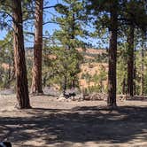 Review photo of Tom Best Spring Road FR117 Dispersed - Dixie National Forest by Greg L., April 11, 2021