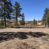 Review photo of Tom Best Spring Road FR117 Dispersed - Dixie National Forest by Greg L., April 11, 2021